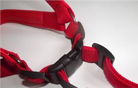 宠物扣具 宠物扣具