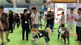 微信图片_20191113112256副本.jpg 微信图片_20191113112256副本.jpg