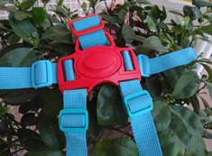 五点式安全插扣