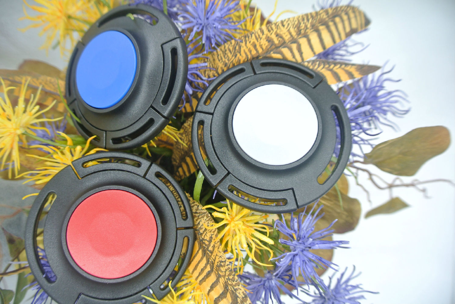 000000023542.jpg 000000023542.jpg