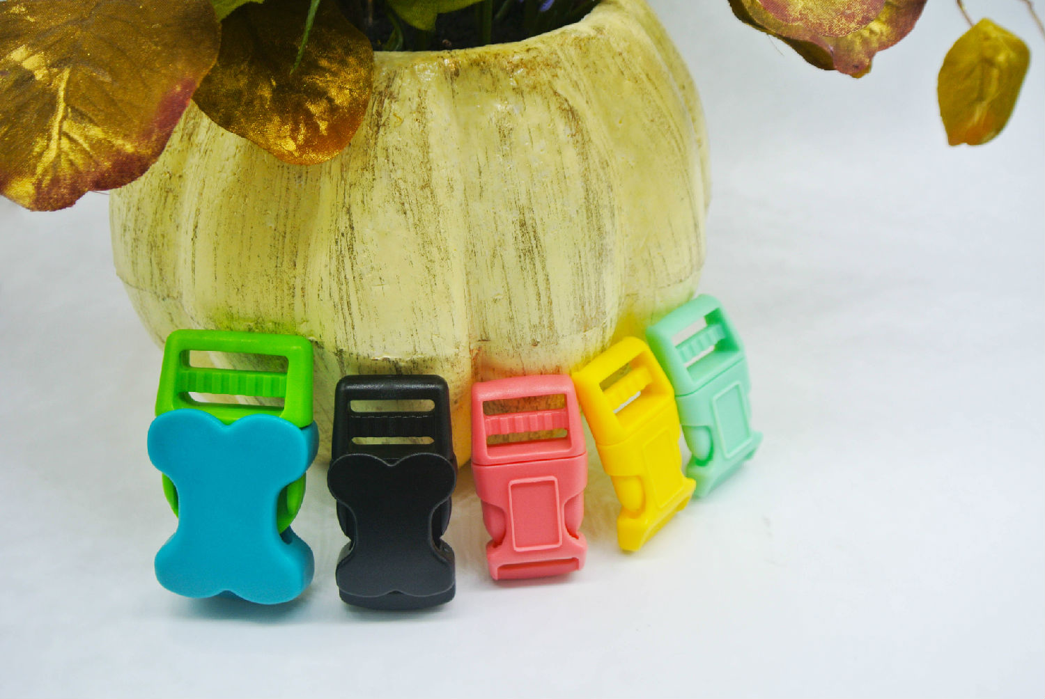 宠物扣具 宠物扣具