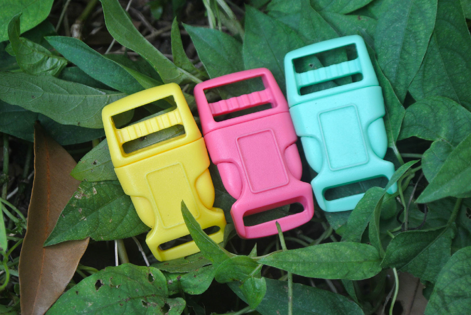 宠物扣具A213 宠物扣具A213