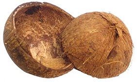 椰子壳2.png 椰子壳2.png